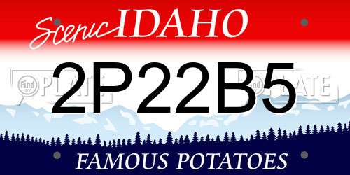 2P22B5 Idaho License Plate