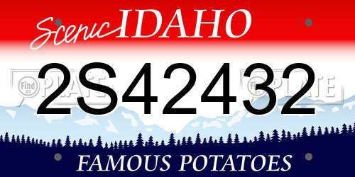 2S42432 Idaho License Plate