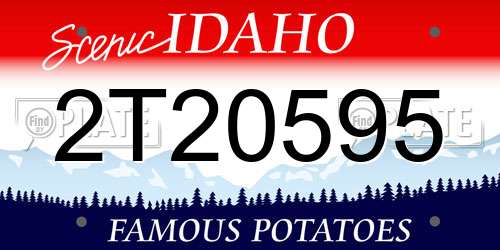 2T20595 Idaho License Plate