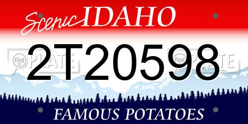 2T20598 Idaho License Plate