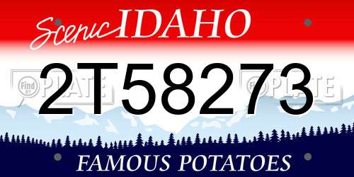2T58273 Idaho License Plate