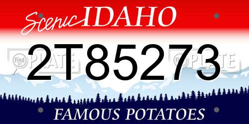 2T85273 Idaho License Plate