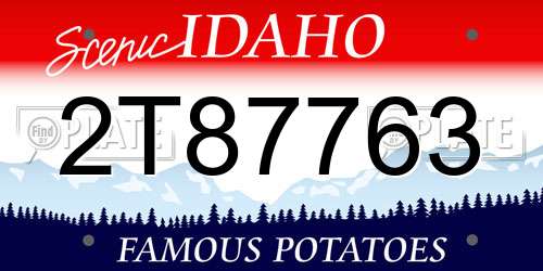 2T87763 Idaho License Plate
