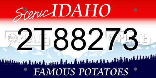 2T88273 Idaho License Plate