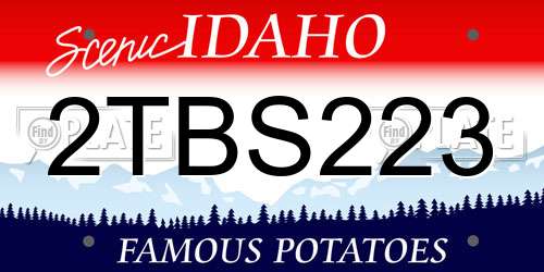 2TBS223 Idaho License Plate