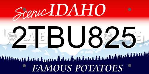 2TBU825 Idaho License Plate