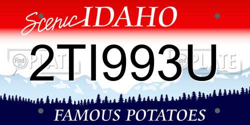 2TI993U Idaho License Plate