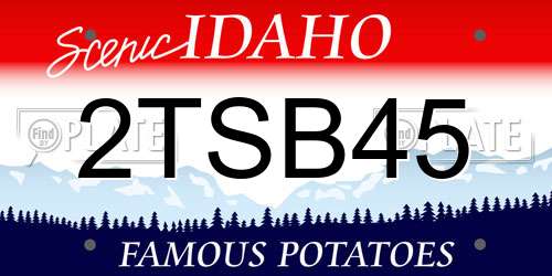 2TSB45 Idaho License Plate