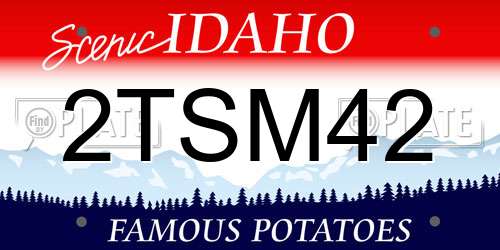 2TSM42 Idaho License Plate