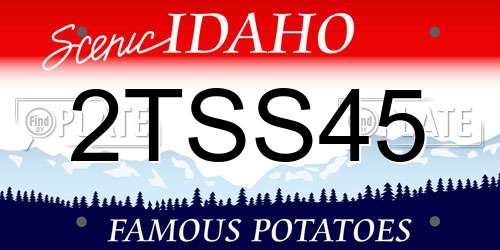 2TSS45 Idaho License Plate