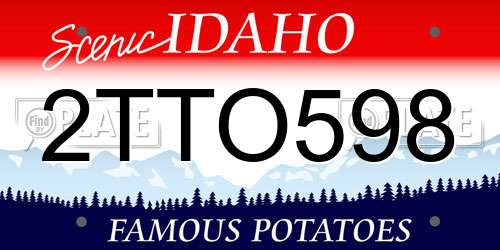 2TTO598 Idaho License Plate