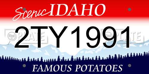 2TY1991 Idaho License Plate