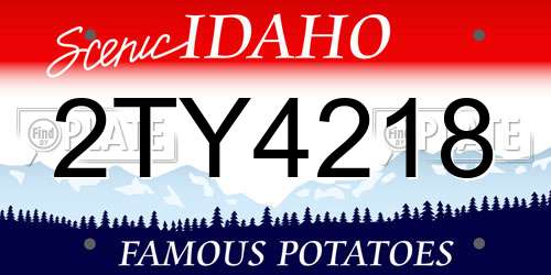 2TY4218 Idaho License Plate