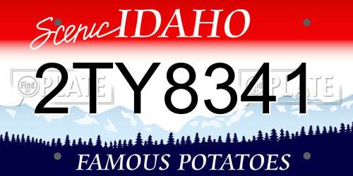 2TY8341 Idaho License Plate