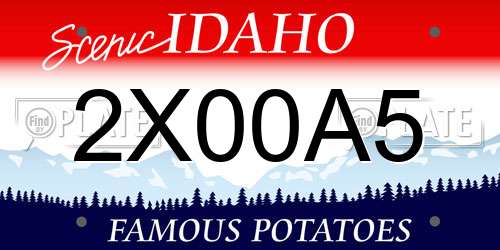 2X00A5 Idaho License Plate