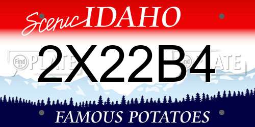 2X22B4 Idaho License Plate
