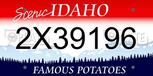 2X39196 Idaho License Plate