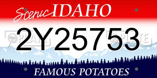 2Y25753 Idaho License Plate