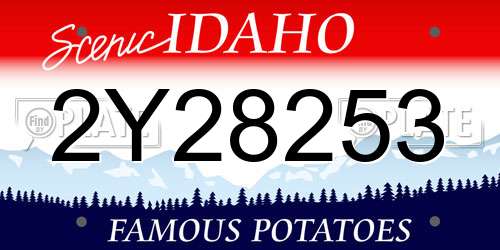 2Y28253 Idaho License Plate
