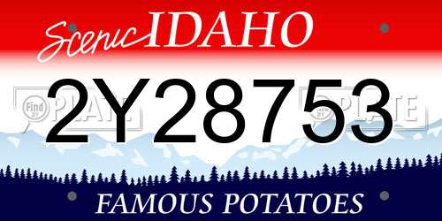 2Y28753 Idaho License Plate