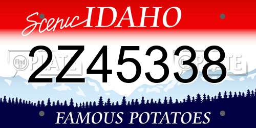 2Z45338 Idaho License Plate