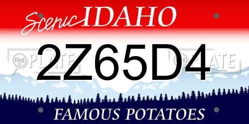 2Z65D4 Idaho License Plate