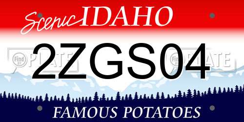 2ZGS04 Idaho License Plate