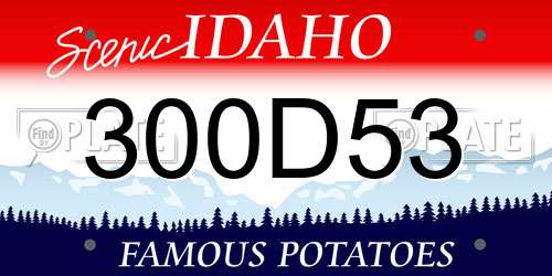 300D53 Idaho License Plate