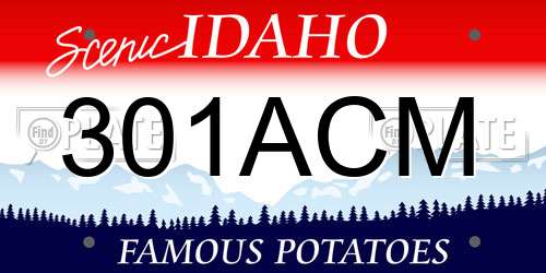 301ACM Idaho License Plate
