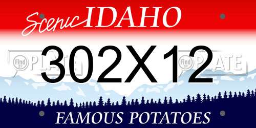 302X12 Idaho License Plate