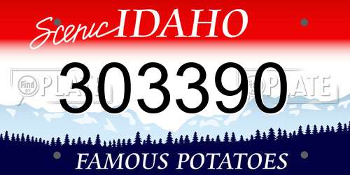 303390 Idaho License Plate