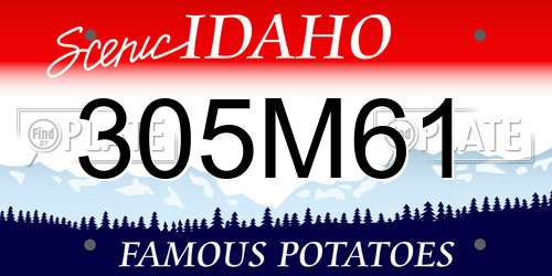 305M61 Idaho License Plate