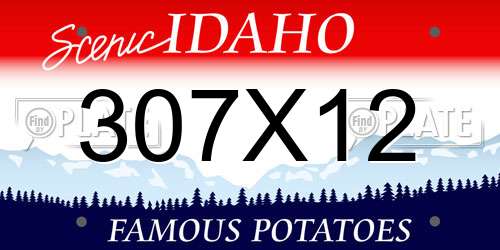 307X12 Idaho License Plate