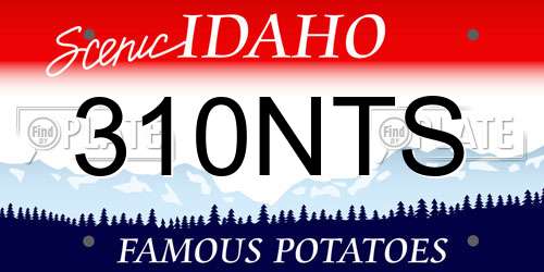 310NTS Idaho License Plate