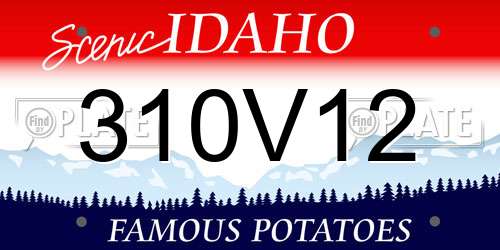 310V12 Idaho License Plate