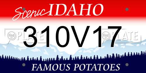 310V17 Idaho License Plate