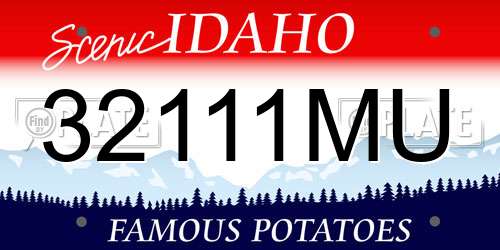 32111MU Idaho License Plate