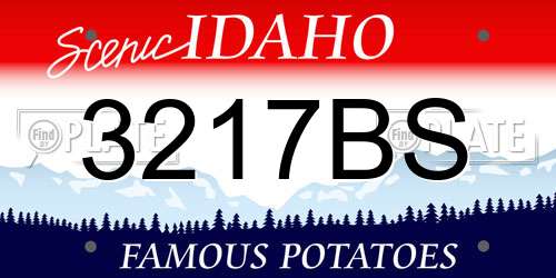 3217BS Idaho License Plate