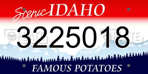 3225018 Idaho License Plate