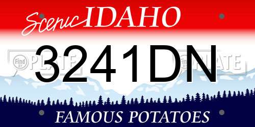 3241DN Idaho License Plate