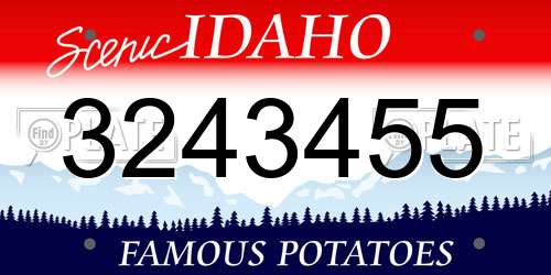 3243455 Idaho License Plate