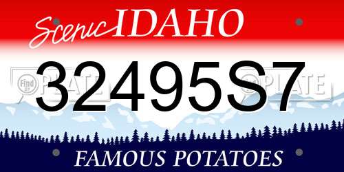 32495S7 Idaho License Plate