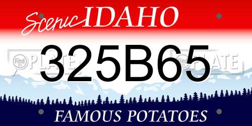 325B65 Idaho License Plate