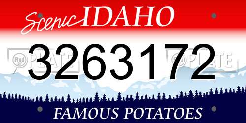3263172 Idaho License Plate