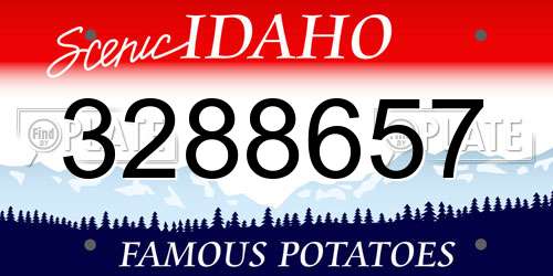 3288657 Idaho License Plate