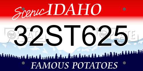 32ST625 Idaho License Plate