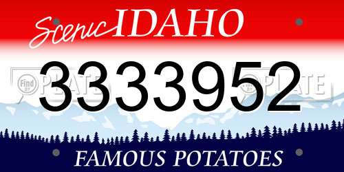 3333952 Idaho License Plate