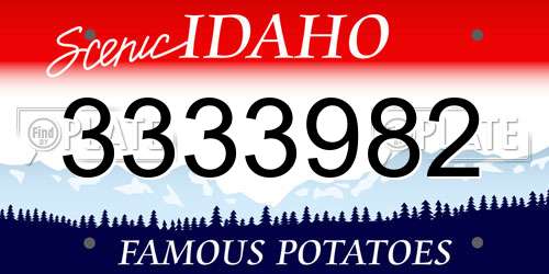 3333982 Idaho License Plate