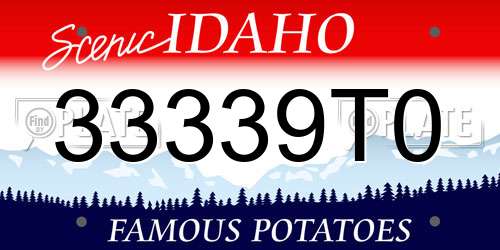 33339T0 Idaho License Plate