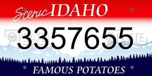 3357655 Idaho License Plate